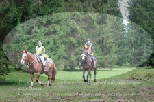 ref. photo 3356484