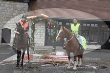 ref. photo 3356494