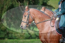 ref. photo 3356513