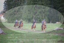ref. photo 3356515