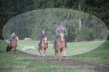 ref. photo 3356521