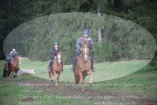 ref. photo 3356522