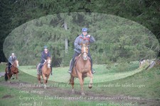 ref. photo 3356524