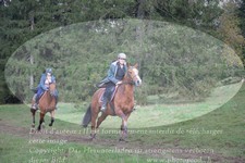 ref. photo 3356529