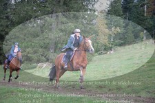 ref. photo 3356530