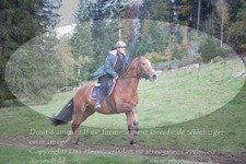 ref. photo 3356531