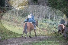 ref. photo 3356535