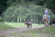 ref. photo 3356549