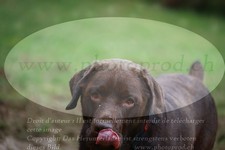 ref. photo 3356555