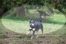 ref. photo 3356561