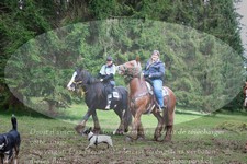 ref. photo 3356567
