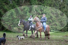 ref. photo 3356568