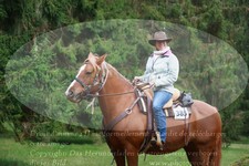 ref. photo 3356574