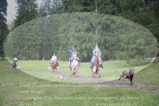 ref. photo 3356583