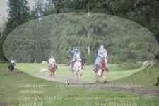 ref. photo 3356584