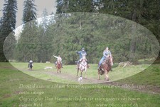 ref. photo 3356585