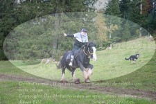 ref. photo 3356595