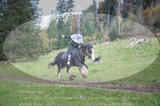 ref. photo 3356596
