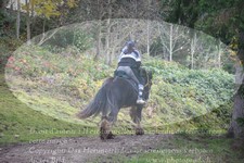 ref. photo 3356599