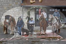 ref. photo 3356605