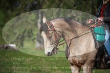 ref. photo 3356643
