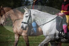 ref. photo 3356646