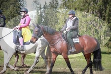 ref. photo 3356647
