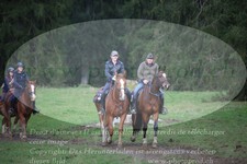 ref. photo 3356658