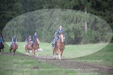 ref. photo 3356659