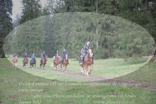 ref. photo 3356660