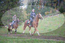 ref. photo 3356664