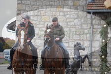 ref. photo 3356681