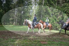 ref. photo 3356706