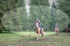 ref. photo 3356724