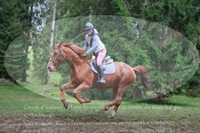 ref. photo 3356734