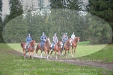 ref. photo 3356746
