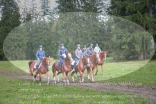 ref. photo 3356747