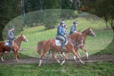 ref. photo 3356752