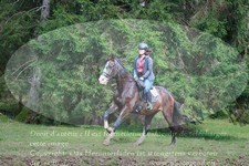 ref. photo 3356797