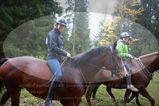 ref. photo 3356900