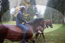 ref. photo 3356901