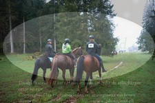 ref. photo 3356902