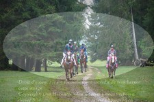 ref. photo 3356935