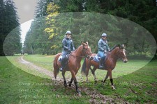 ref. photo 3356968