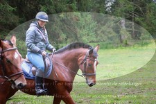 ref. photo 3356969