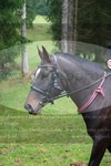 ref. photo 3357081