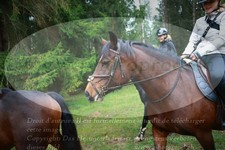 ref. photo 3357082