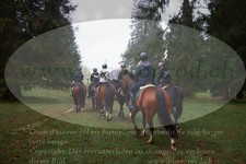 ref. photo 3357086