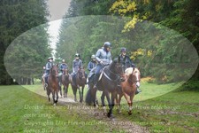 ref. photo 3357099