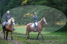 ref. photo 3357108